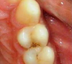 FB_IMG_1508583994210 - Copy